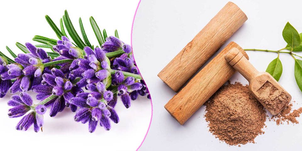 خرید عود اصل چوب صندل و لوندر از فروشگاه عود کوف