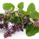 عود پچولی برای پاکسازی انرژی منفی و آرامش محیط