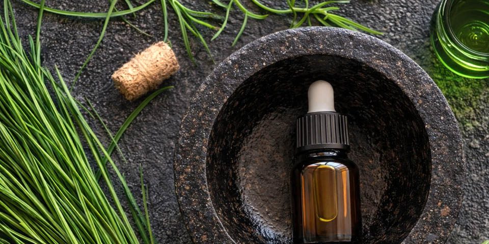 عود وتیور اصل با رایحه‌ای خاکی و طبیعی مناسب پاکسازی انرژی، مدیتیشن و آرامش ذهن - www.coof.ir
