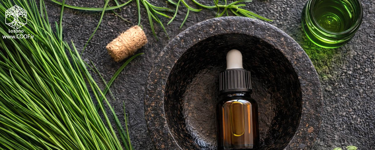 عود وتیور اصل با رایحه‌ای خاکی و طبیعی مناسب پاکسازی انرژی، مدیتیشن و آرامش ذهن - www.coof.ir